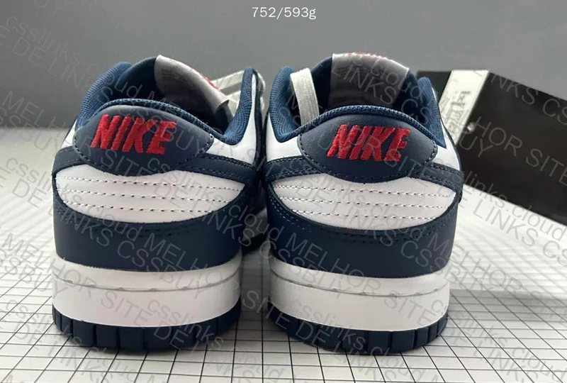 Nike Dunk OVO