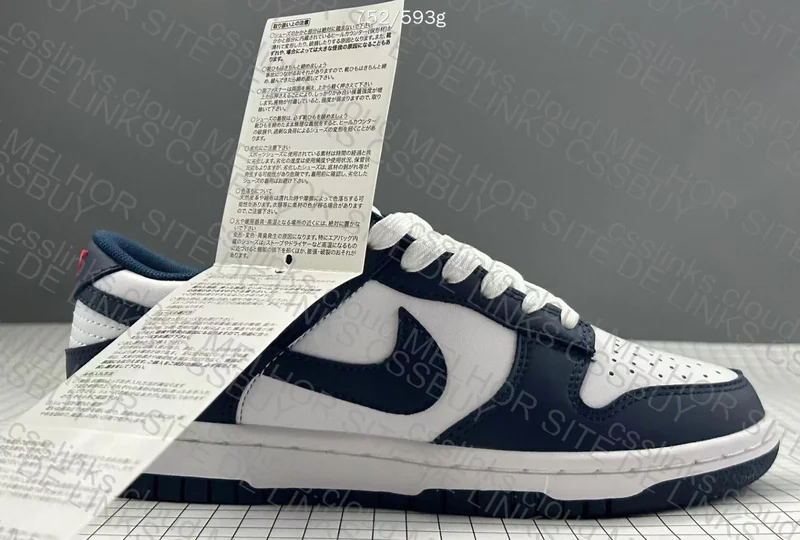 Nike Dunk OVO 2
