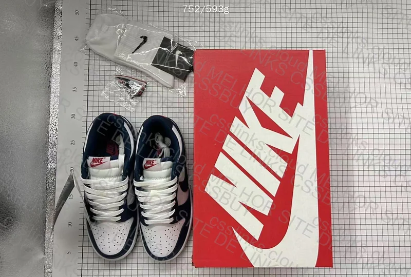 Nike Dunk OVO 3