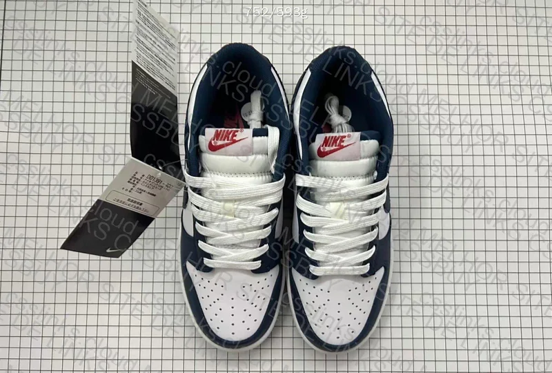 Nike Dunk OVO 4