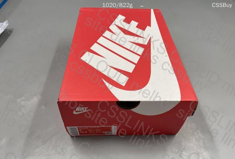 Nike Dunk Panda 5