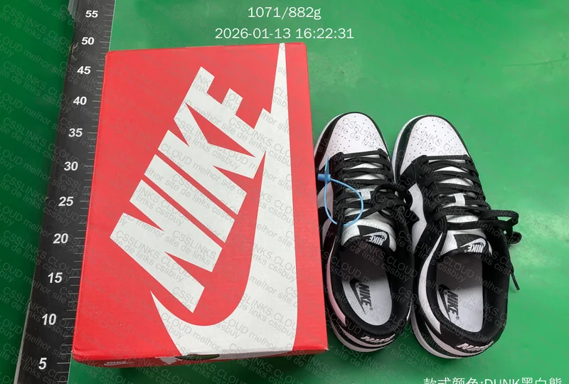 Nike Dunk Panda 6