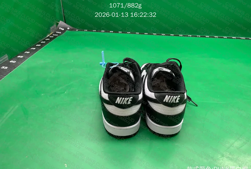 Nike Dunk Panda 7