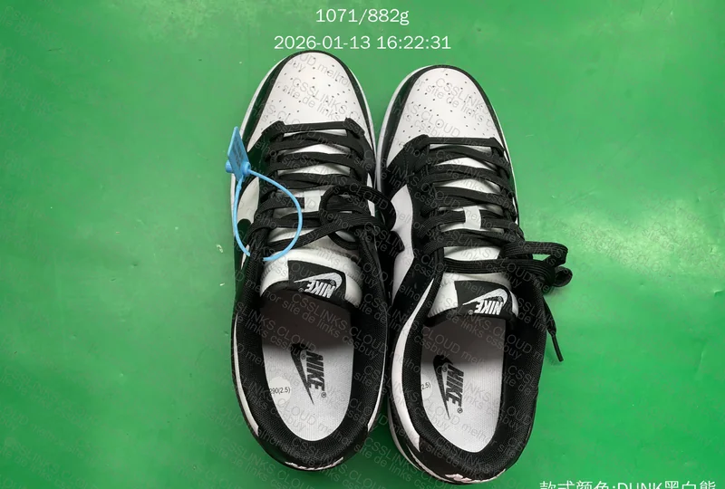 Nike Dunk Panda 9