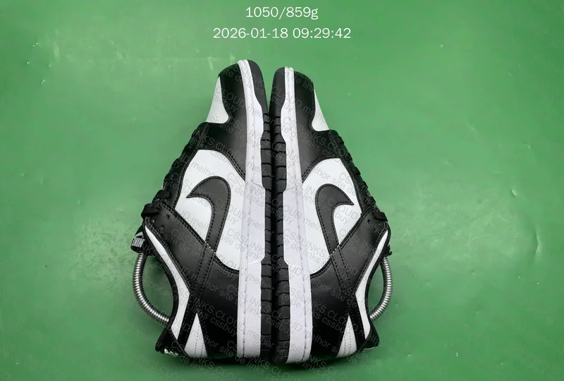 Nike Dunk Panda 3