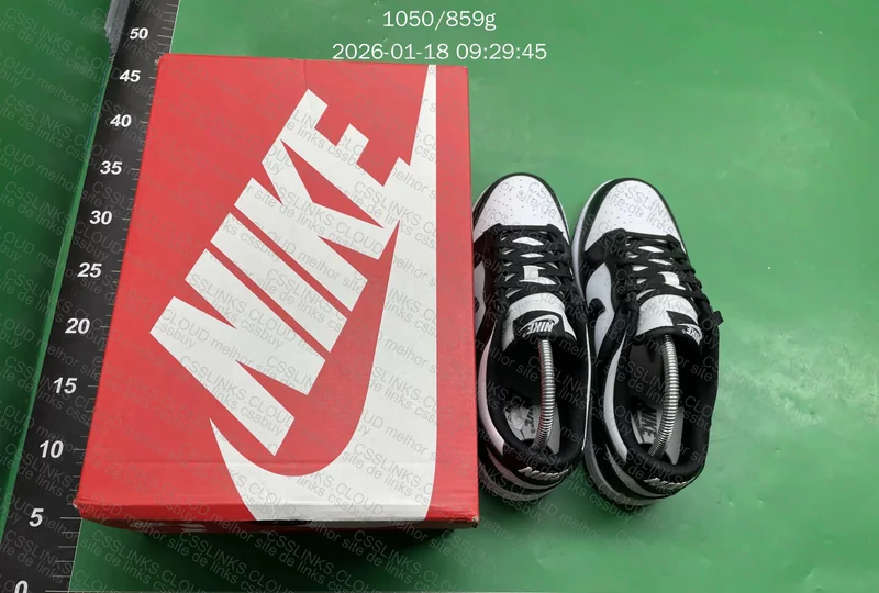 Nike Dunk Panda 8