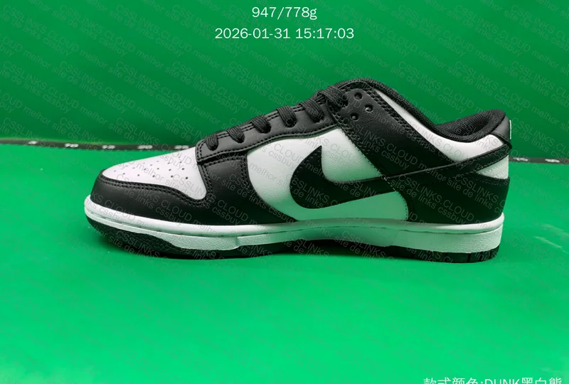 NIKE DUNK PANDA 5