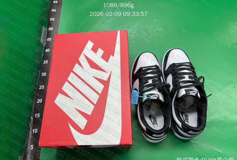 NIKE DUNK PANDA 3