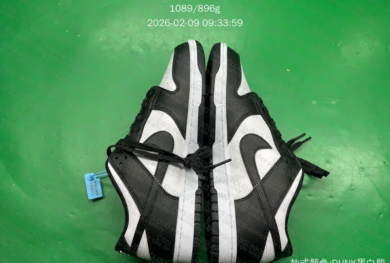 NIKE DUNK PANDA 5