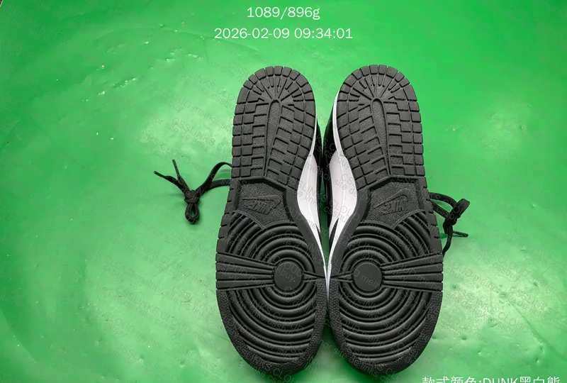 NIKE DUNK PANDA 6
