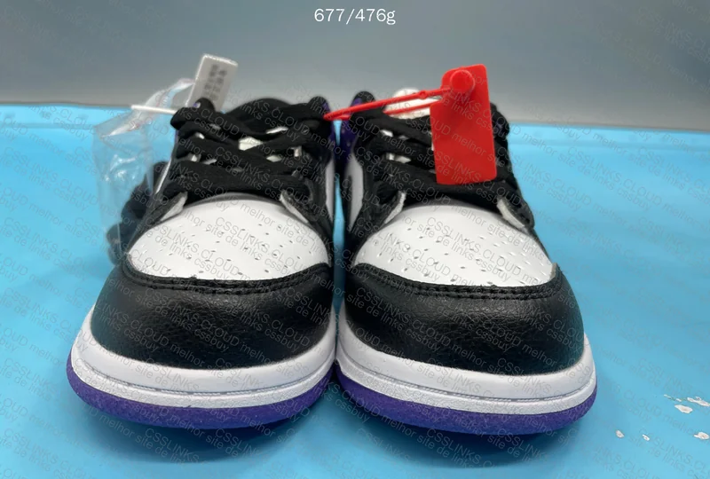 Nike Dunk for Kids 5