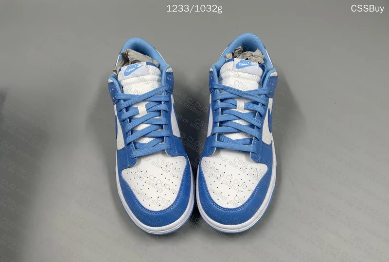 Nike Dunk saldos
