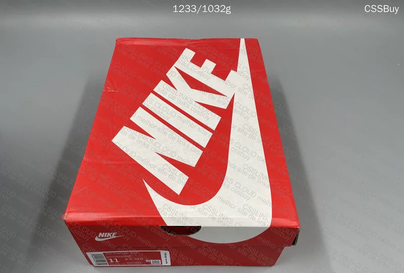 Nike Dunk saldos 10