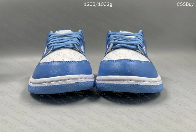 Nike Dunk saldos 2