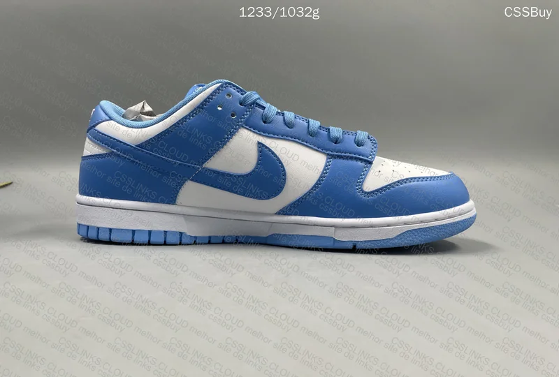 Nike Dunk saldos 5