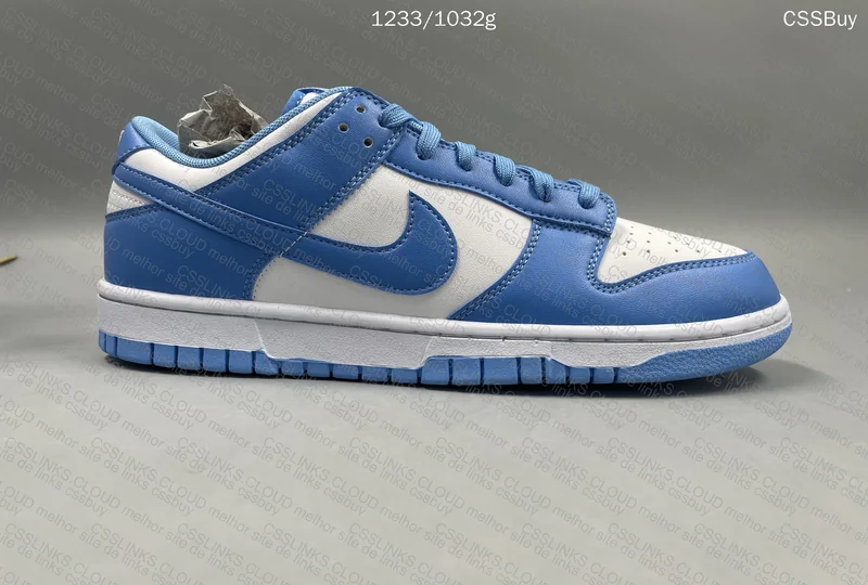 Nike Dunk saldos 9