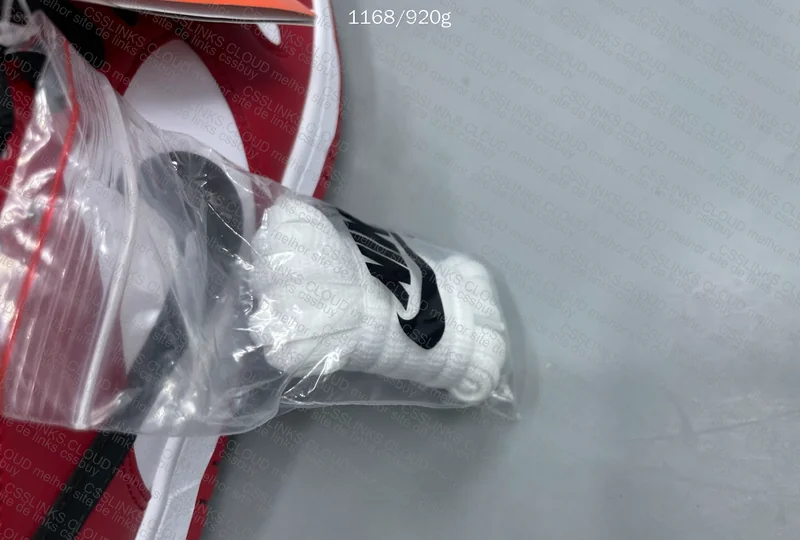 Nike Dunk SB Chicago 3