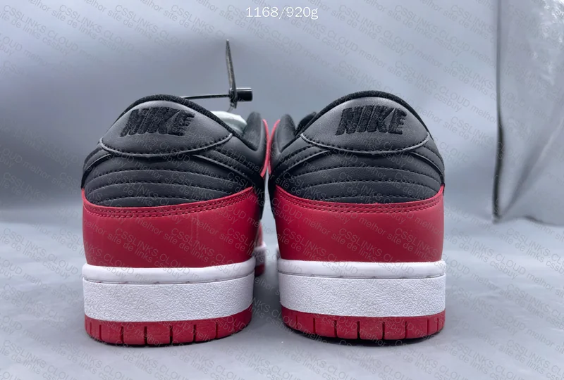 Nike Dunk SB Chicago 6