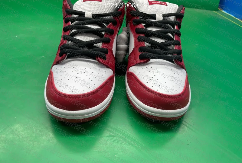 Nike Dunk SB Chicago 5
