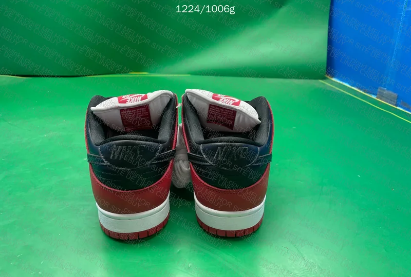 Nike Dunk SB Chicago 6