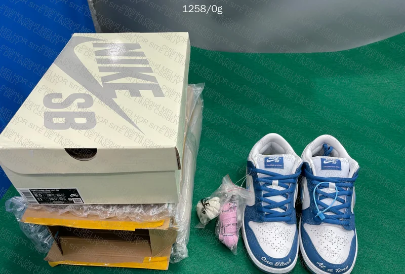 Nike dunk sb low born x raised one block at a time
