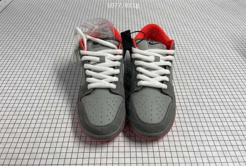 NIKE DUNK SB PIGEON 3