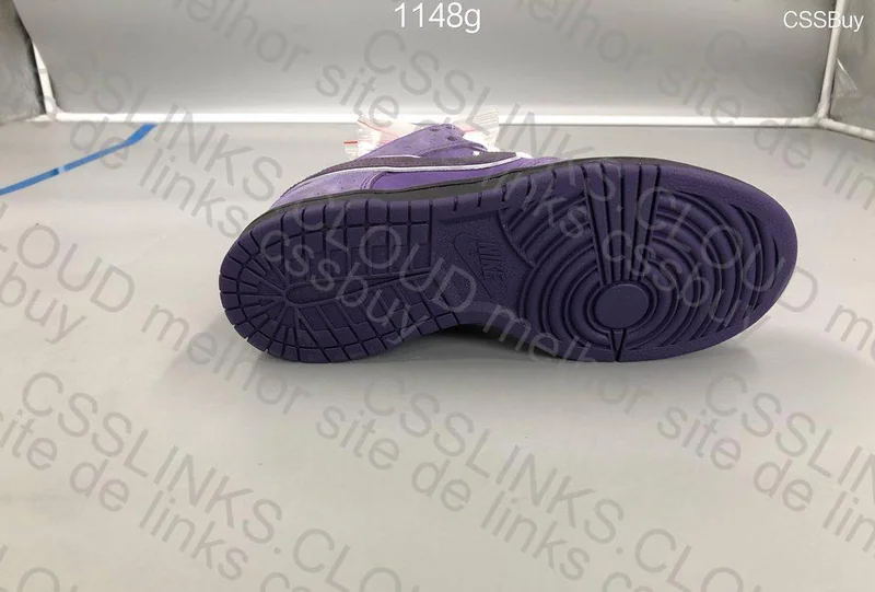 Nike Dunk SB Purple Lobster 11