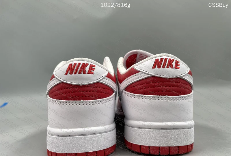 Nike Dunk SB “University Red” 2