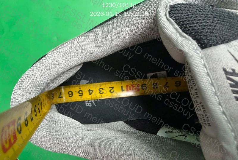 Nike Dunk Shadow Grey 8
