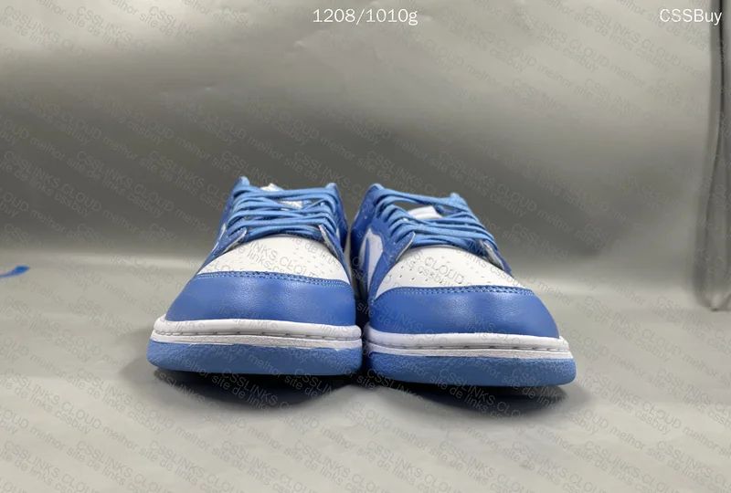Nike Dunk unc 2