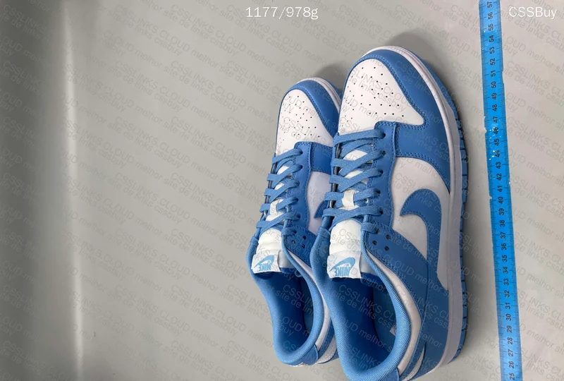 Nike dunk university blue