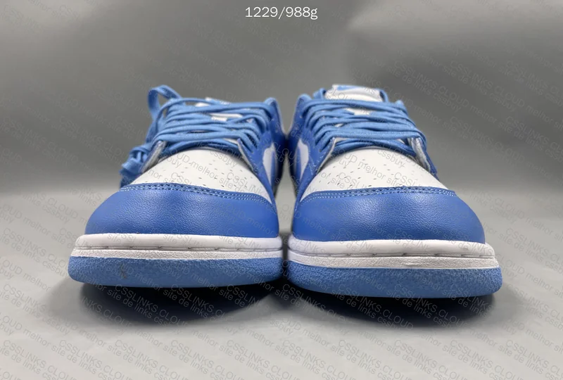 Nike Dunk University Blue 2