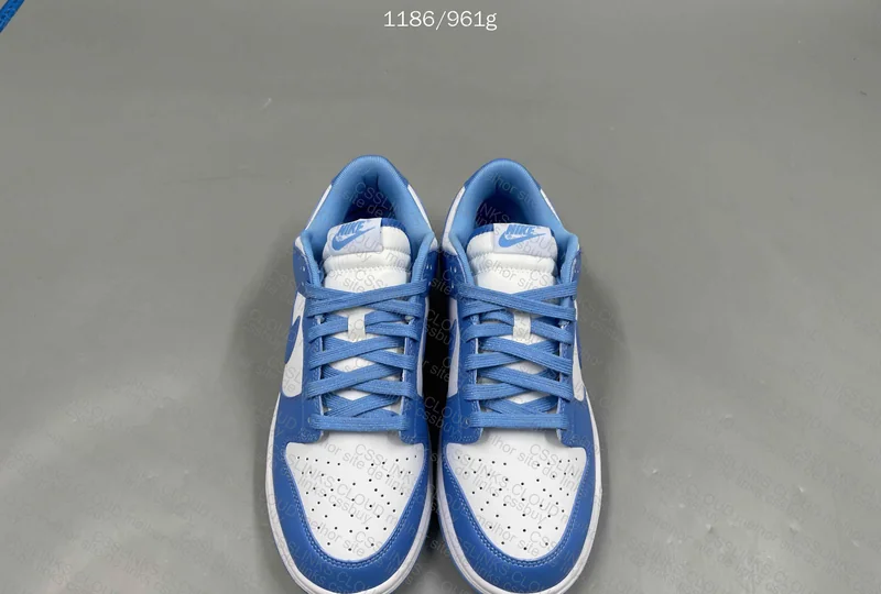 Nike dunk university blue