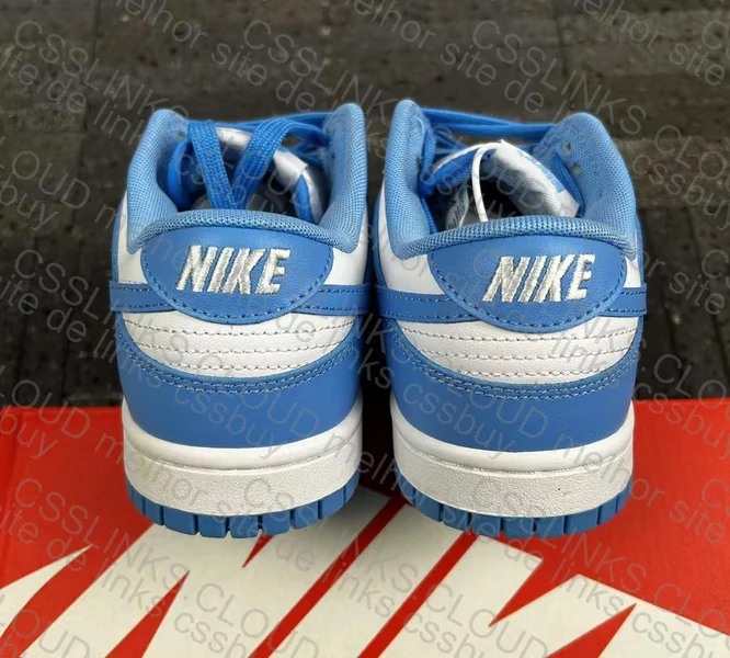 Nike Dunk University Blue 2