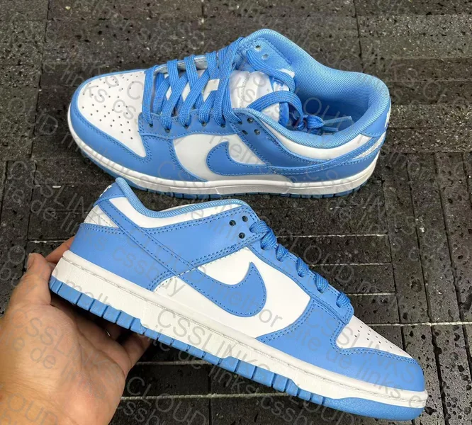 Nike Dunk University Blue 4