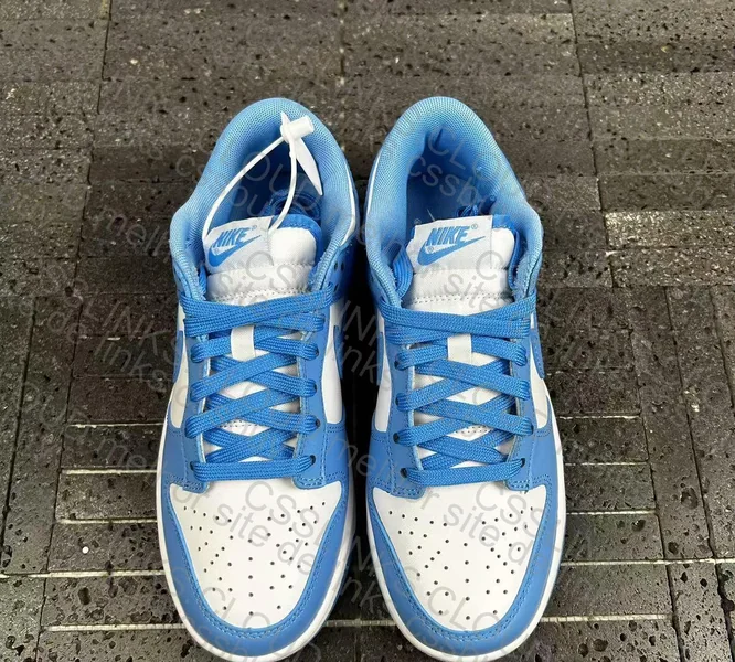 Nike Dunk University Blue 5
