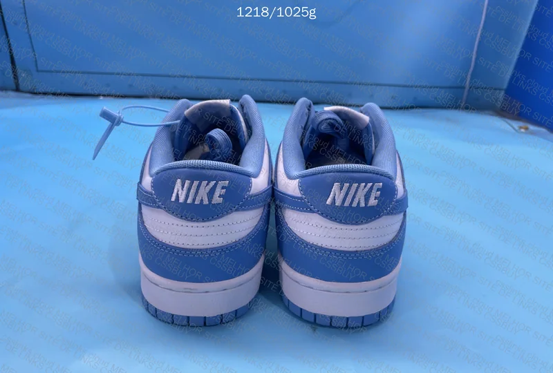 Nike Dunk university Blue 2