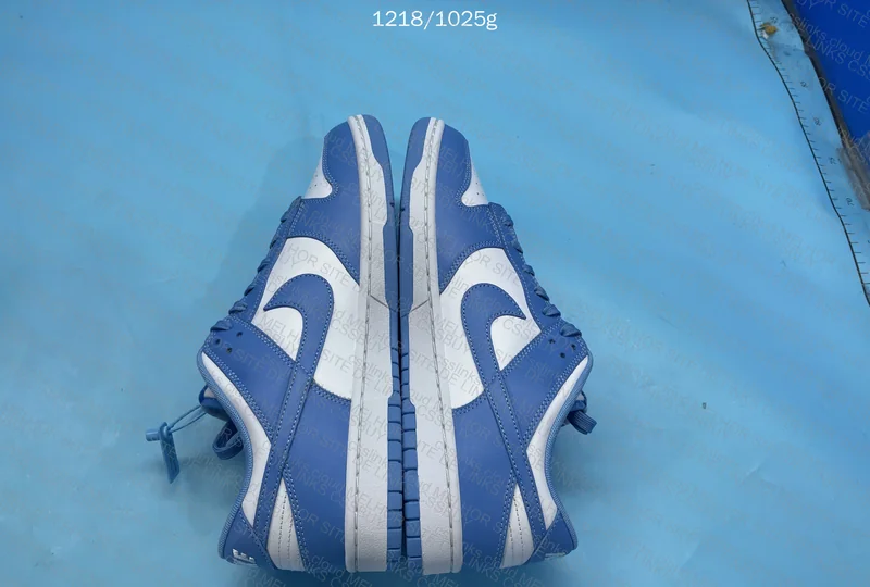 Nike Dunk university Blue 3