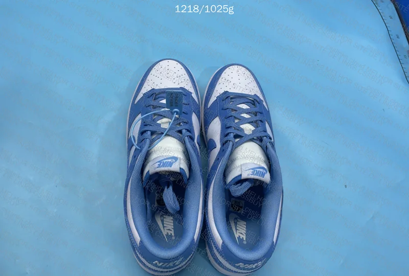 Nike Dunk university Blue 4