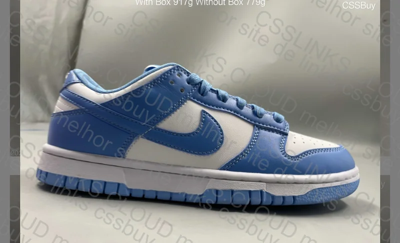 Nike dunk university WWTOP 2