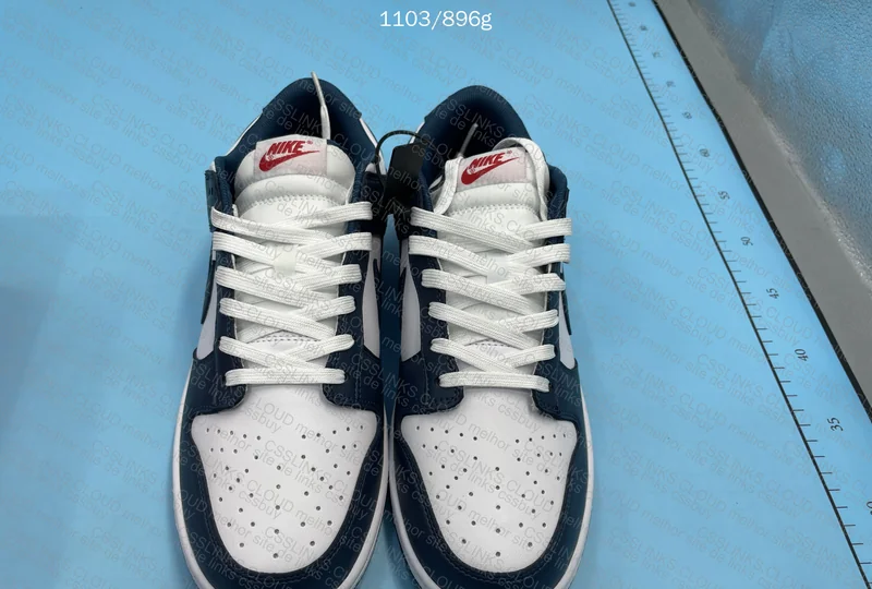 NIKE DUNK VALERIAN BLUE 3