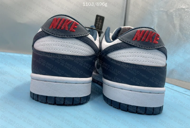 NIKE DUNK VALERIAN BLUE 5