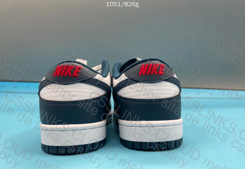 Nike Dunk Valerian Blue 2