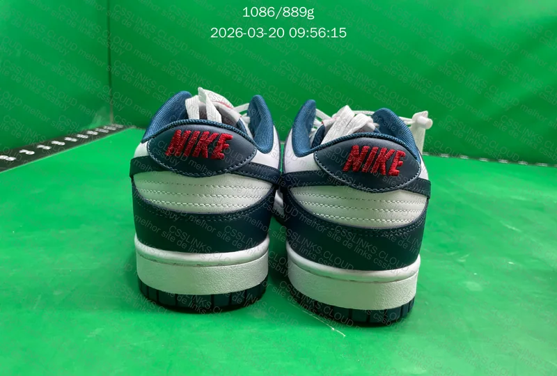 Nike Dunk Valerian Blue 10