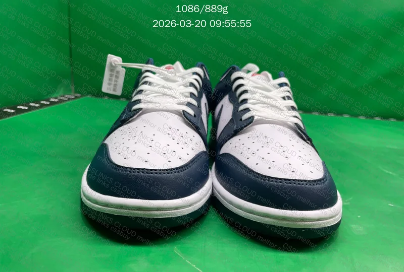 Nike Dunk Valerian Blue 2