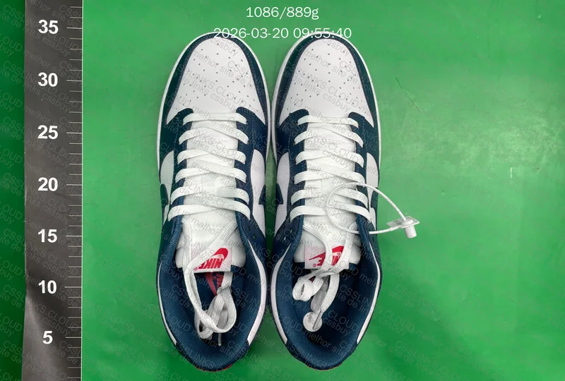 Nike Dunk Valerian Blue 5