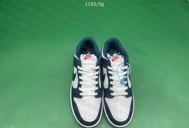 Nike Dunk Valerian Blue (AJUDA) 5