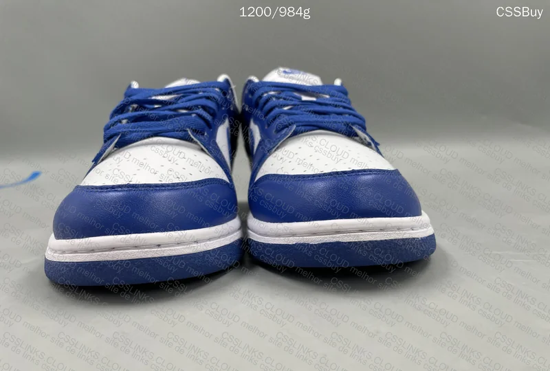 Nike Dunk VT 2