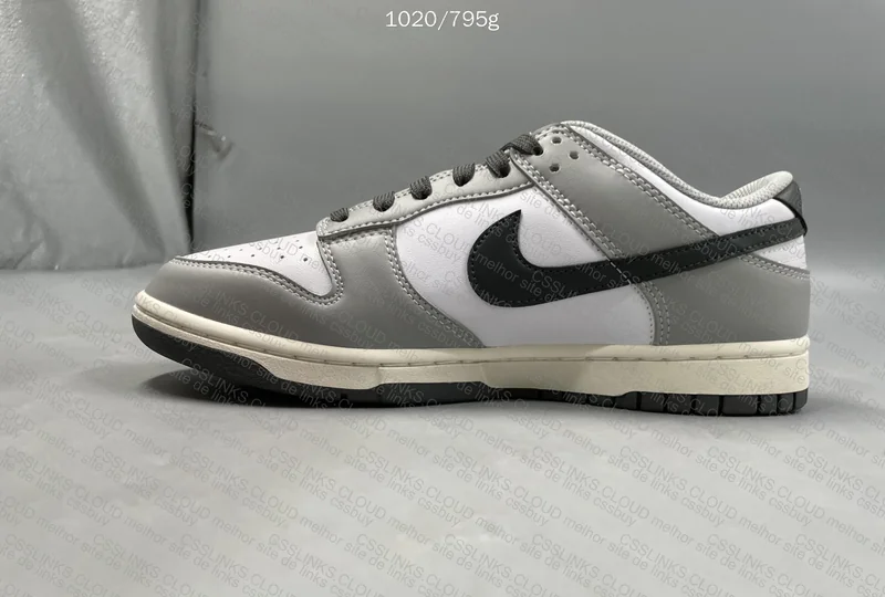 Nike Dunk VT 6