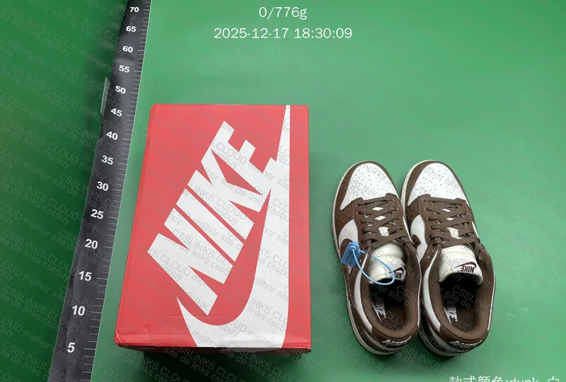 Nike Dunk White Brown Coffee